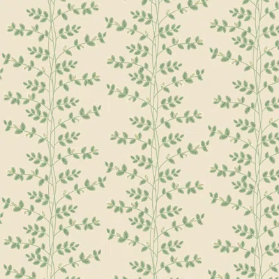 The Company Store Climbing Vines Traditional Wallpaper In Ivory
