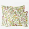 The Company Store Coneflower Patch Classic Cool Cotton Percale Sham In Green/pink/yellow