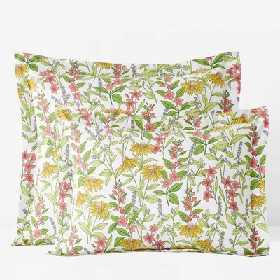 The Company Store Coneflower Patch Classic Cool Cotton Percale Sham In Green/pink/yellow