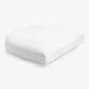 The Company Store Contour Chair Cushion In White