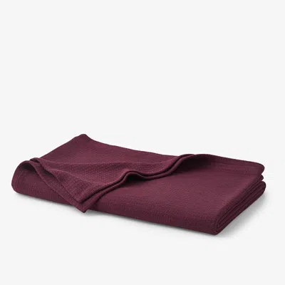 The Company Store Cotton Weave Blanket In Purple/red