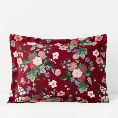 The Company Store Dahlia Classic Cool Cotton Percale Sham In Multi