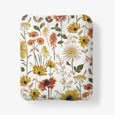 The Company Store Daisies Classic Smooth Sateen Fitted Bed Sheet