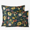The Company Store Daisies Classic Smooth Sateen Sham
