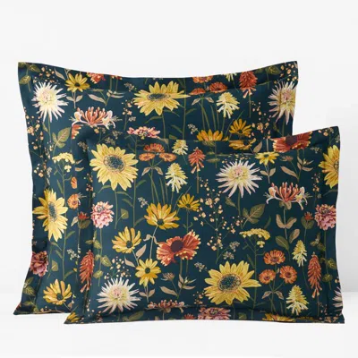 The Company Store Daisies Classic Smooth Sateen Sham