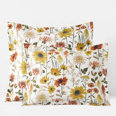 The Company Store Daisies Classic Smooth Sateen Sham
