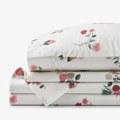 The Company Store Ditsy Dahlia Classic Cool Cotton Percale Bed Sheet Set