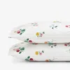 The Company Store Ditsy Dahlia Classic Cool Cotton Percale Pillowcase Set In Green/pink/multi