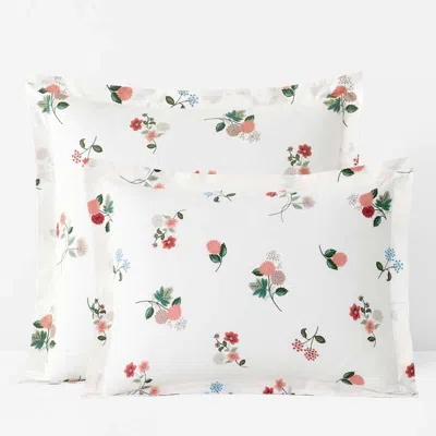 The Company Store Ditsy Dahlia Classic Cool Cotton Percale Sham