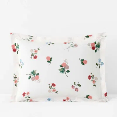 The Company Store Ditsy Dahlia Classic Cool Cotton Percale Sham