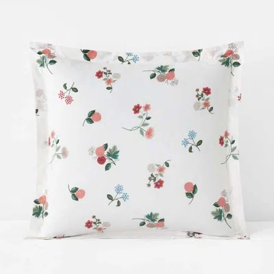 The Company Store Ditsy Dahlia Classic Cool Cotton Percale Sham