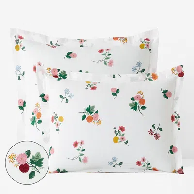 The Company Store Ditsy Dahlia Classic Cool Cotton Percale Sham In Green/pink/multi