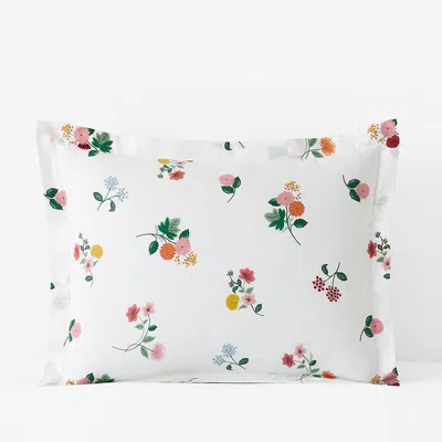 The Company Store Ditsy Dahlia Classic Cool Cotton Percale Sham In Green/pink/multi