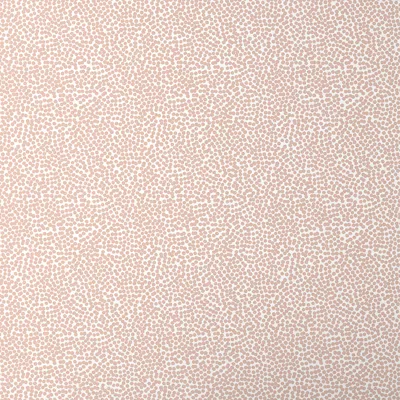 The Company Store Dots Wallpaper In Orange/coral