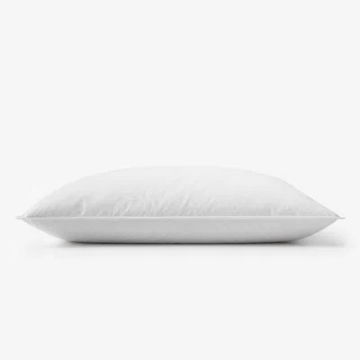 The Company Store Down & Feather Pillow In White