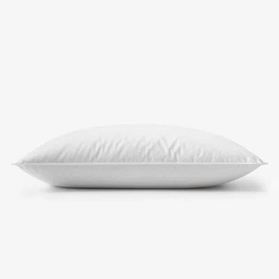 The Company Store Down & Feather Pillow In White