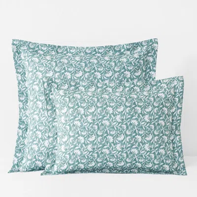 The Company Store Ellary Classic Cool Cotton Percale Sham