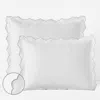The Company Store Embroidered Scallop Classic Smooth Sateen Solid Sham In Blue/white