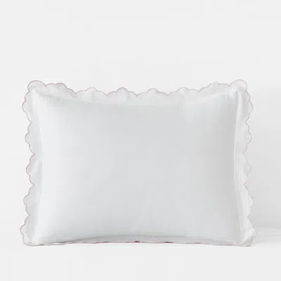 The Company Store Embroidered Scallop Classic Smooth Sateen Solid Sham In Multi