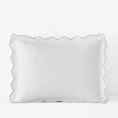 The Company Store Embroidered Scallop Classic Smooth Sateen Solid Sham In Multi