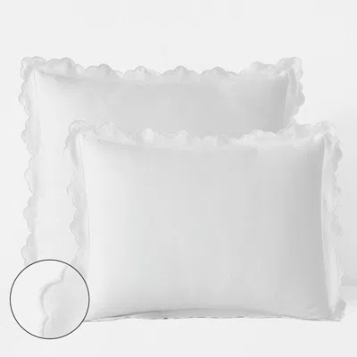The Company Store Embroidered Scallop Classic Smooth Sateen Solid Sham In White