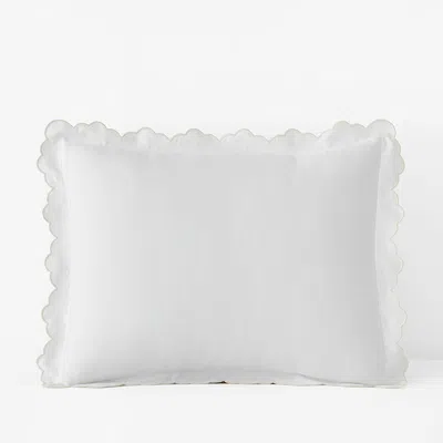 The Company Store Embroidered Scallop Classic Smooth Sateen Solid Sham In White