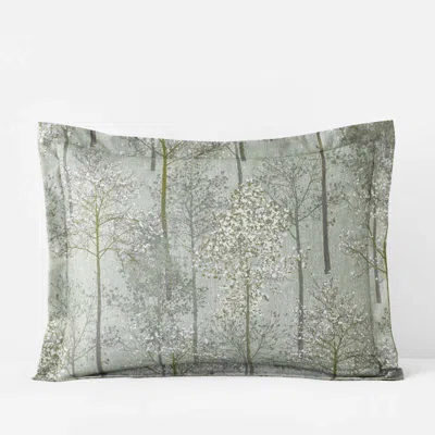 The Company Store Enchanted Trees Premium Smooth Wrinkle-free Sateen Sham In Green