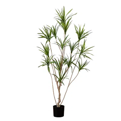 The Company Store Faux Dracaena Tree In Green