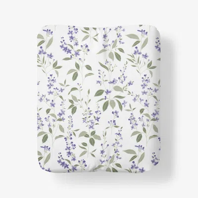 The Company Store Garden Mist Classic Cool Cotton Percale Fitted Bed Sheet In Green/ivory/purple