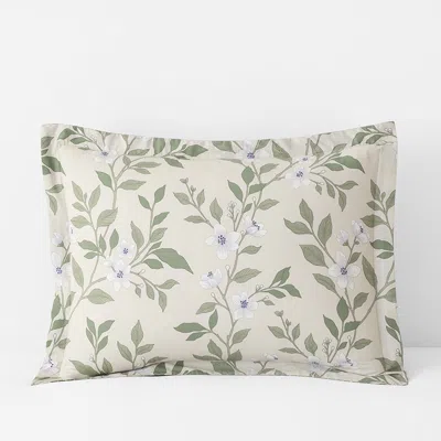 The Company Store Garden Mist Classic Cool Cotton Percale Reversible Sham In Beige/green