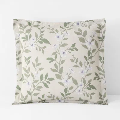 The Company Store Garden Mist Classic Cool Cotton Percale Reversible Sham In Beige/green