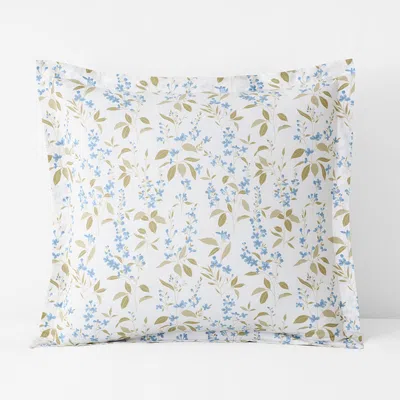 The Company Store Garden Mist Classic Cool Cotton Percale Sham In Blue/green/ivory