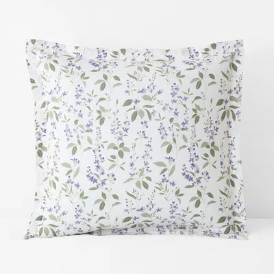 The Company Store Garden Mist Classic Cool Cotton Percale Sham In Green/ivory/purple