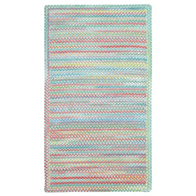 The Company Store Garden Stripe Reversible Braided Cotton Rug