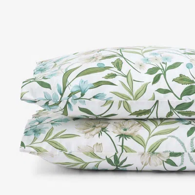 The Company Store Gardenia Mist Premium Smooth Wrinkle-free Sateen Pillowcase Set In Blue/green/teal