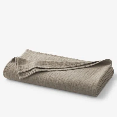 The Company Store Gossamer Cotton Blanket In Brown