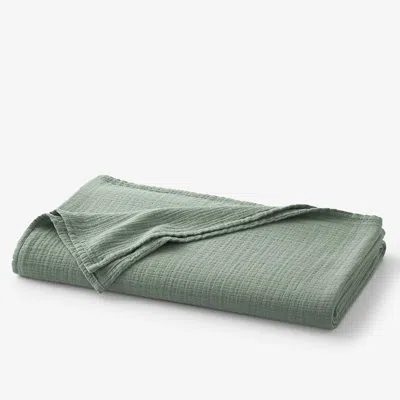 The Company Store Gossamer Cotton Blanket In Green