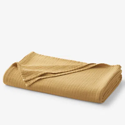 The Company Store Gossamer Cotton Blanket In Yellow