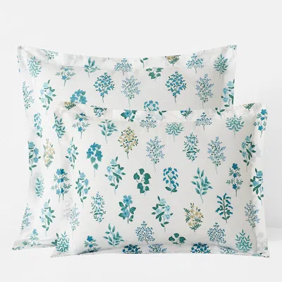 The Company Store Hawthorne Classic Cool Cotton Percale Sham In Blue/teal/turquoise