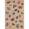 The Company Store Highgrove Collection In Pink