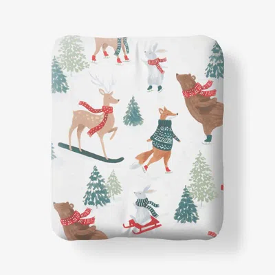 The Company Store Holiday Print Classic Cool Cotton Percale Fitted Bed Sheet In Multi
