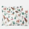 The Company Store Holiday Print Classic Cool Cotton Percale Sham In Multi