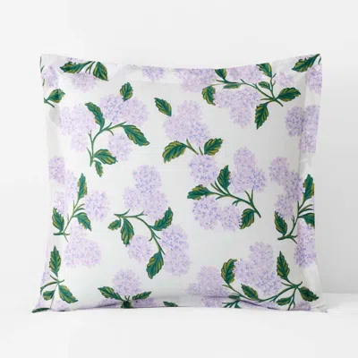 The Company Store Hydrangea Classic Cool Cotton Percale Sham In Multi