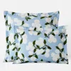 The Company Store Hydrangea Classic Cool Cotton Percale Sham In Powder Blue