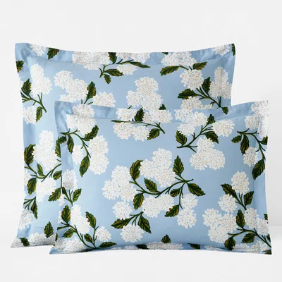 The Company Store Hydrangea Classic Cool Cotton Percale Sham In Powder Blue