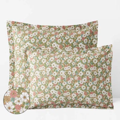 The Company Store Julienne Classic Cool Cotton Percale Sham