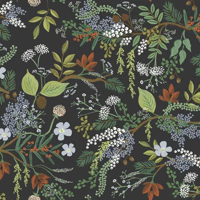 The Company Store Juniper Forest Removable Wallpaper In Black