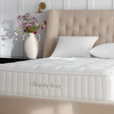 The Company Store Mattress And 5 Inch Foundation, King In Burgundy