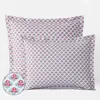 The Company Store Mini Garden Classic Cool Cotton Percale Sham In Blue/pink