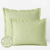 The Company Store Mini Garden Classic Cool Cotton Percale Sham In Green
